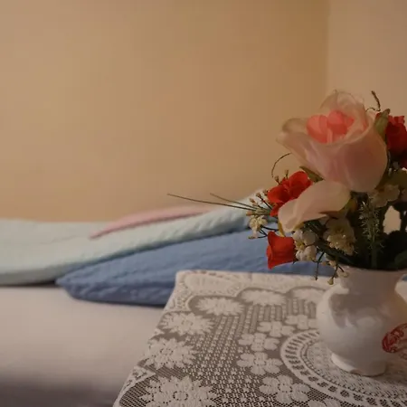 Pensiune Piri Vendeghaz Hajduboszormeny