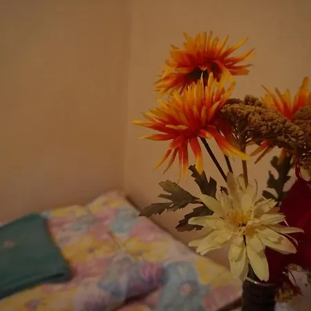 Piri Vendeghaz Pensiune *