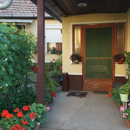 Pensiune Piri Vendeghaz