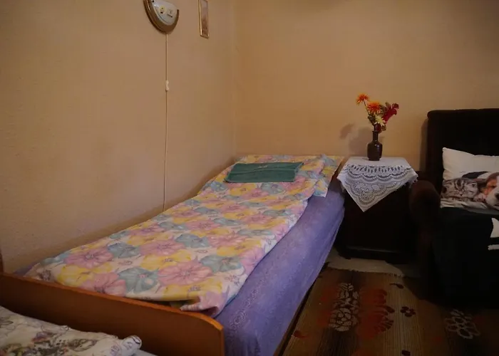 Pensiune Piri Vendeghaz